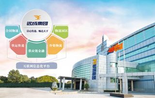 新市場環(huán)境下如何變革發(fā)展 遠(yuǎn)成集團(tuán)是這么干的