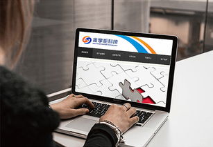 智慧互聯，專業信賴——金掌柜電子科技公司LOGO設計方案